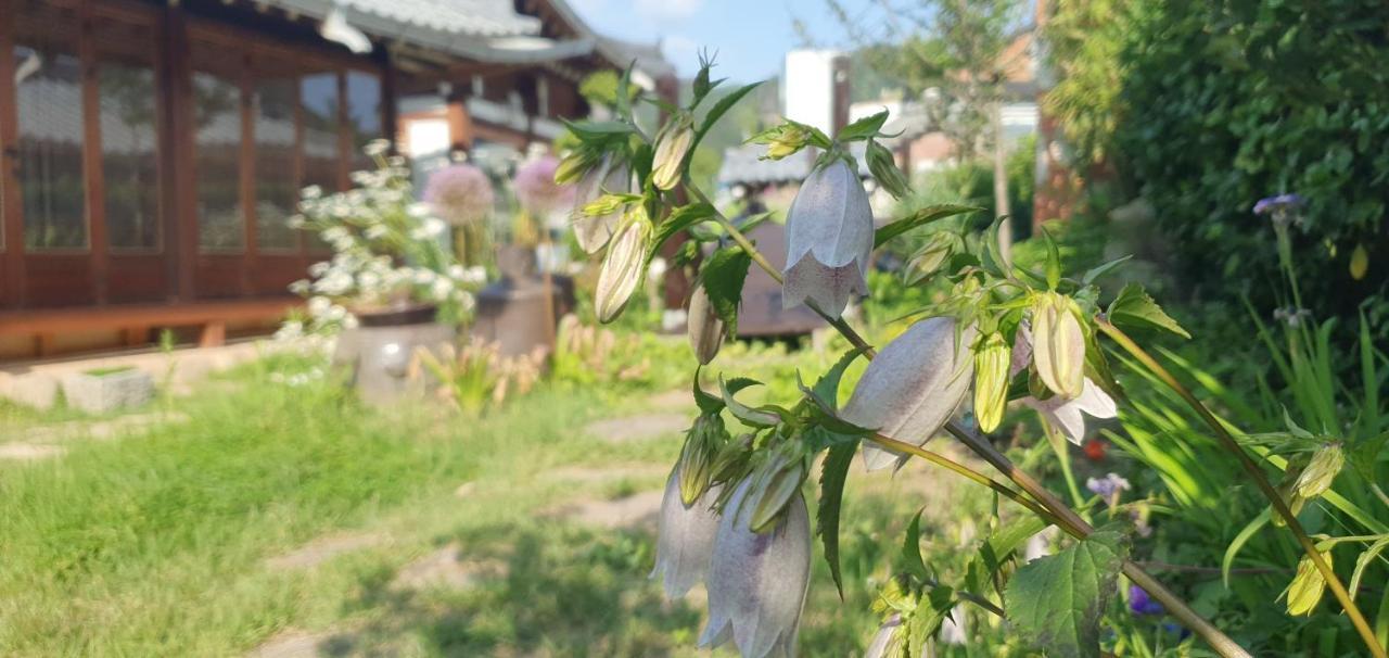 Jahayeon Hanokstay Jeonju Extérieur photo